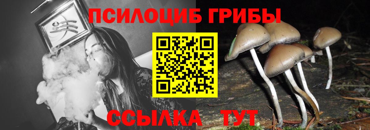 Галлюциногенные грибы Cubensis Керчь