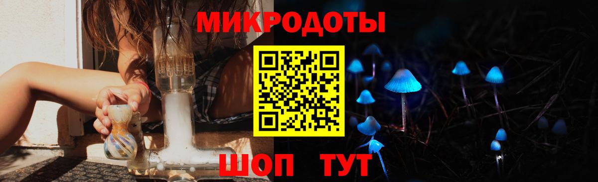 Псилоцибиновые грибы Psilocybe  Вход с VPN  Псилоцибиновые грибы мухоморы  Керчь 